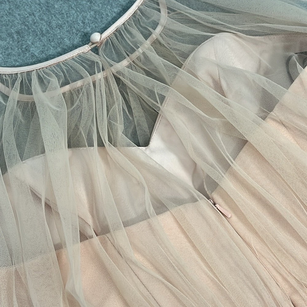 Sleeveless Tulle Overlay Cocktail Dress in Blush - Picture 8 of 9